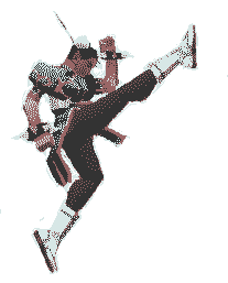 GIF - 4.3 kio