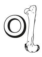 PNG - 4.9 kio