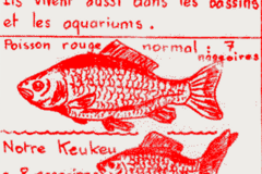 Un journal à l'école