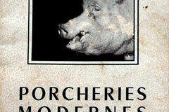 Porcheries Modernes