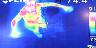 INFRARED