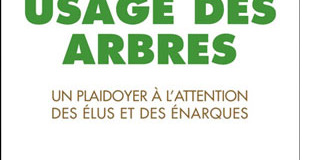 L'arbre, notre puissant allié !