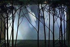 Bertrand Lamarche