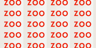 3O ZOO TYPO